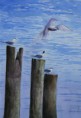 /album/galerie-de-photos-aquarelles/les-vieux-piquets-jpg/